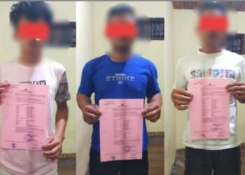 Curi Babi, 4 Pemuda di Tomok Samosir Ditangkap Warga