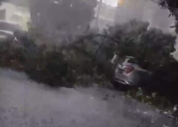 Pohon Tumbang di Medan Timpa Mobil!