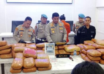 Ditangkap Polres Madina, 2 Kurir Ganja 154 Kg Asal Sumbar Terancam Pidana Mati
