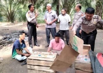 Polisi Gerebek Gubuk Narkoba di Kebun Sawit, 2 Pria Diamankan