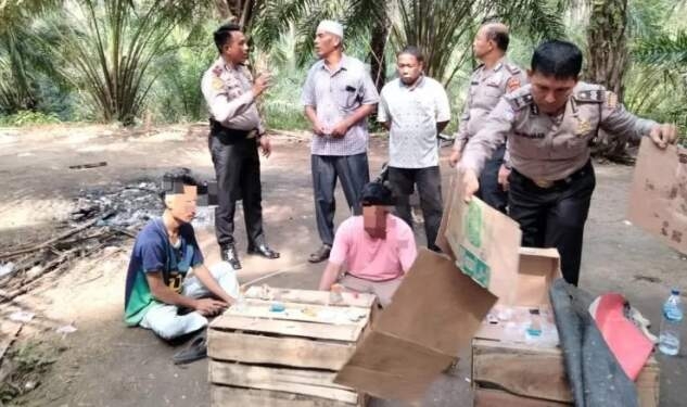 Tim Polsek Bilah Hulu mengamankan dua pria saat menggerebek gubuk tempat mengonsumsi narkoba di kebun sawit.