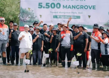 Foto: PTK Tanam 5.500 Bibit Mangrove dan Resmikan Rumah Pembibitan 2