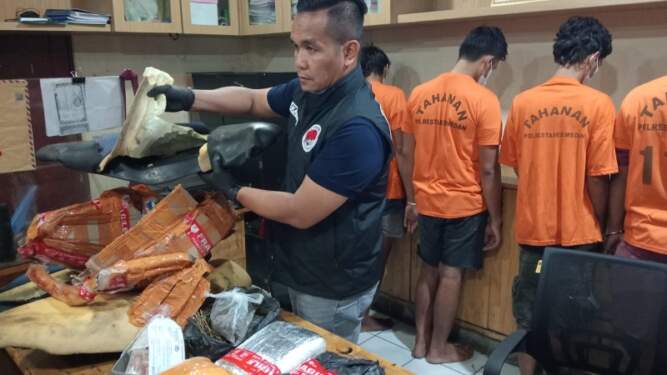Foto: Polisi perlihatkan barang bukti ganja yang hendak dikirim melalui ekspedisi.