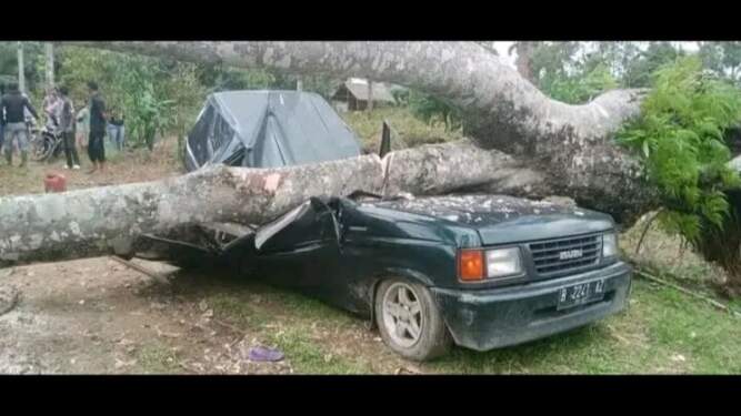 Foto: Mobil berpenumpang lima orang tertimpa pohon durian di Kebun Desa Telagah Kecamatan Sei Bingai Kabupaten Langkat, Senin (16/9/2024).
