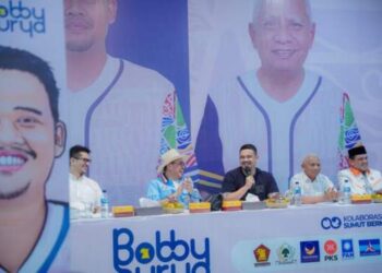 Bobby-Surya Tunjuk Hinca Panjaitan Jadi Ketua Tim Pemenangan