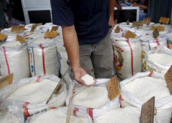 Badan Pangan Akui Harga Beras di Indonesia Mahal