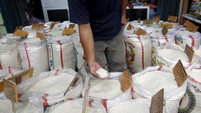 Foto: Badan Pangan Nasional mengamini harga beras di Indonesia tinggi.