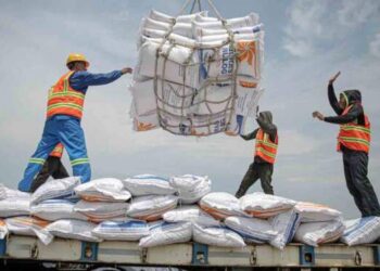 Pemerintah Impor 1,2 Juta Ton Beras Sebelum Desember 2024