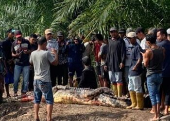 Ngeri! Kepala Lansia Ini Ditemukan Dalam Perut Buaya