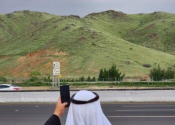 Heboh! Pegunungan Arab Saudi Tiba-Tiba Menghijau