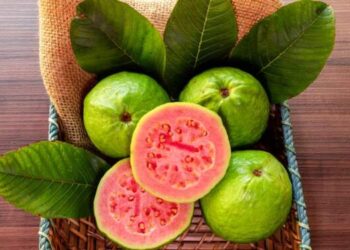 10 Buah Ini Ampuh Pembakar Lemak Perut!