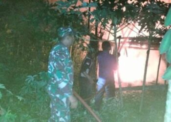 3 Ribu Ekor Ayam di Sergai Hangus Terbakar