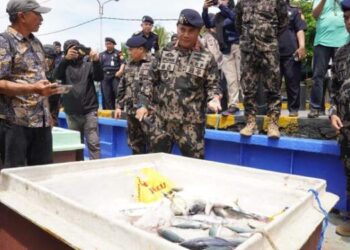 KKP Tangkap Kapal Maling Ikan di Selat Malaka