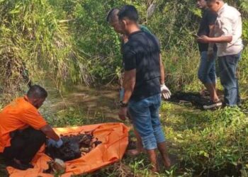 Kerangka Manusia Hebohkan Kampung Lalang, Polisi Turun Tangan