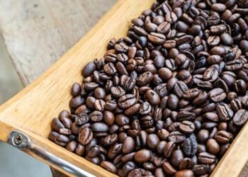 ‘Kopi Sumut’ Resmi Jadi Merek Tunggal Kopi Asli Sumut