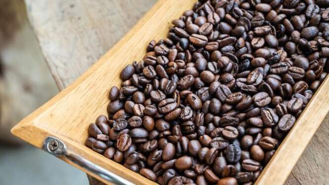 Foto: Ilustrasi kopi. : Getty Images/iStockphoto/ttart