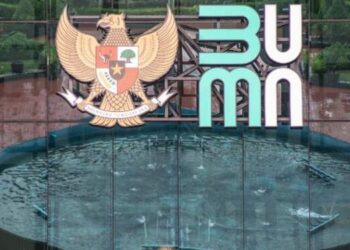 Jadi ‘Pasien’ PPA, 14 BUMN Masih ‘Rawat Jalan’