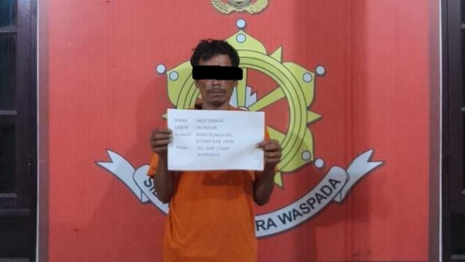 Foto: Pelaku Saut saat diamankan di kantor polisi. (Foto: Dok. Polres Dairi)