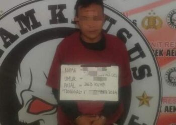 Demi Lembu, Pria di Labura Curi Perhiasan-Uang Rp 165 Juta
