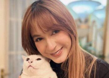 Artis Lawas Puput Novel Meninggal Dunia