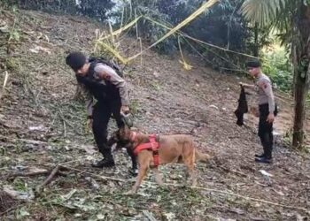 11 Hari Diburu, Tersangka Pembunuh Gadis Penjual Gorengan Ditangkap