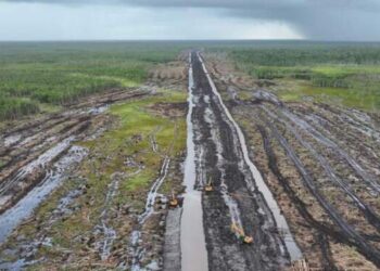 ‘Gaji’ Rp 10 Juta, Menteri Pertanian Libatkan Mahasiswa Kelola Sawah