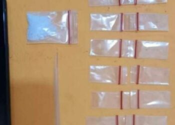Polres Belawan Tangkap Pengedar-Pengguna Narkoba, Ini Buktinya