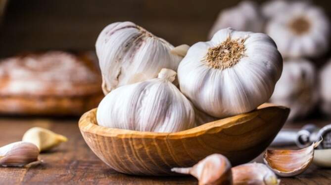 Foto: Bawang putih.