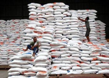 Foto: Pemerintah akan Impor 1 Juta Ton Beras 5