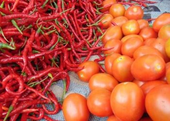 Harga Cabai-Tomat di Sumut Melambung Tinggi