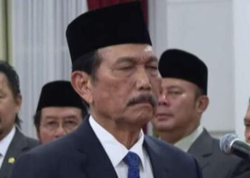 Luhut Jadi Ketua Dewan Ekonomi Nasional di Kabinet Merah Putih