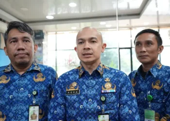 Penilaian SPBE 2024, Pemko Medan Raih Nilai Maksimal dalam Aspek Layanan