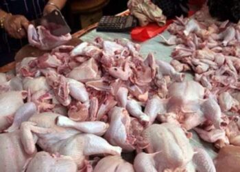 Harga Daging Ayam di Medan Merangkak Naik