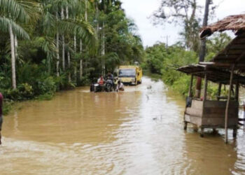 4 Desa di Aceh Barat Terendam Banjir