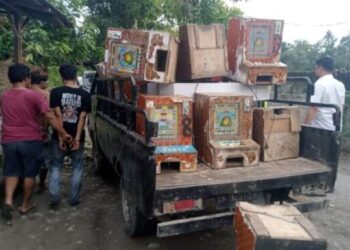 Petugas Gabungan Gerebek Kampung Narkoba di Deli Serdang-Langkat