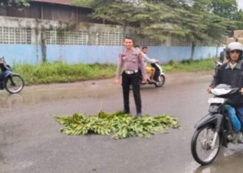 Tragis! Balita 3 Tahun di Sampali Remuk Tergilas Truk Fuso