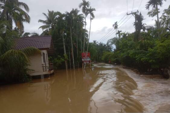 Foto: Banjir yang merendam pemukiman penduduk di Kabupaten Aceh Jaya, Minggu (17/11/2024).