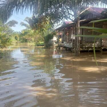 Foto: Banjir yang melanda wilayah Kecamatan Simpang Kanan, Aceh Singkil.
