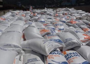 3,48 Juta Ton Beras Impor Masuk Indonesia