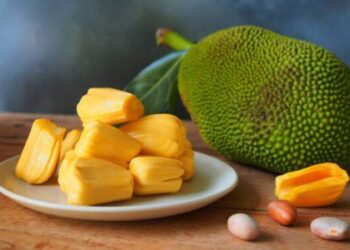 Jangan Dibuang! Ini Sederet Manfaat Biji Nangka