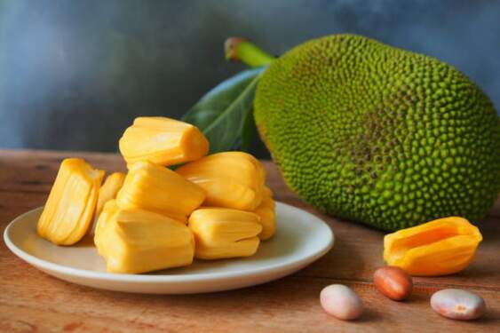 Foto: Biji nangka.