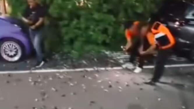 Foto: Ratusan burung pipit mati di Bandara Ngurah Rai tersambar petir.