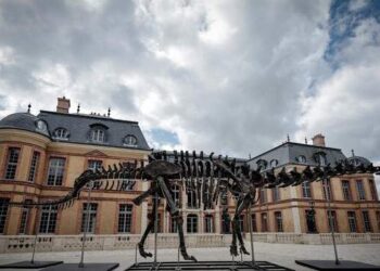 Rangka Dinosaurus 150 Juta Tahun Terjual Rp 100 Miliar