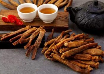 Musim Hujan, Jenis Herbal Ini Tingkatkan Imunitas Tubuh
