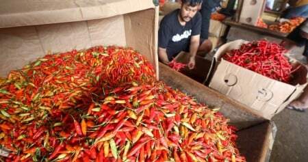Foto: Harga cabai rawit di Senin pagi naik menjadi Rp43.940 per kg.