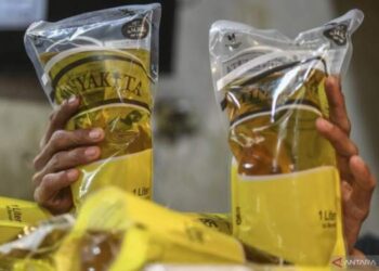 Harga Minyakita Tembus Rp 17.000/Liter!