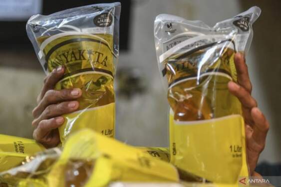 Foto: Harga Minyakita mengalami kenaikan hingga tembus Rp 17.000 per liter.