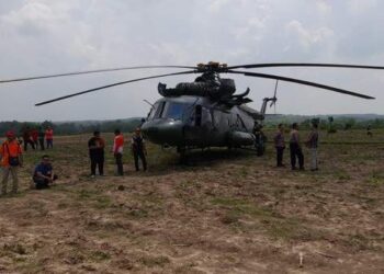 Helikopter TNI AD Mendarat Darurat di Persawahan, Ini Penampakannya