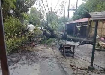 Hujan Deras di STM Hilir Tumbangkan Pohon Tutup Jalan Desa