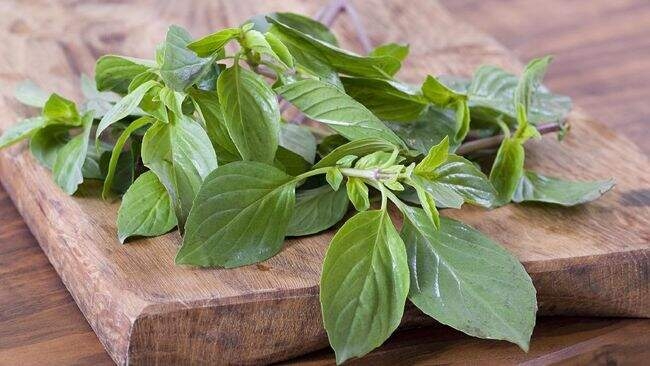 Daun kemangi.